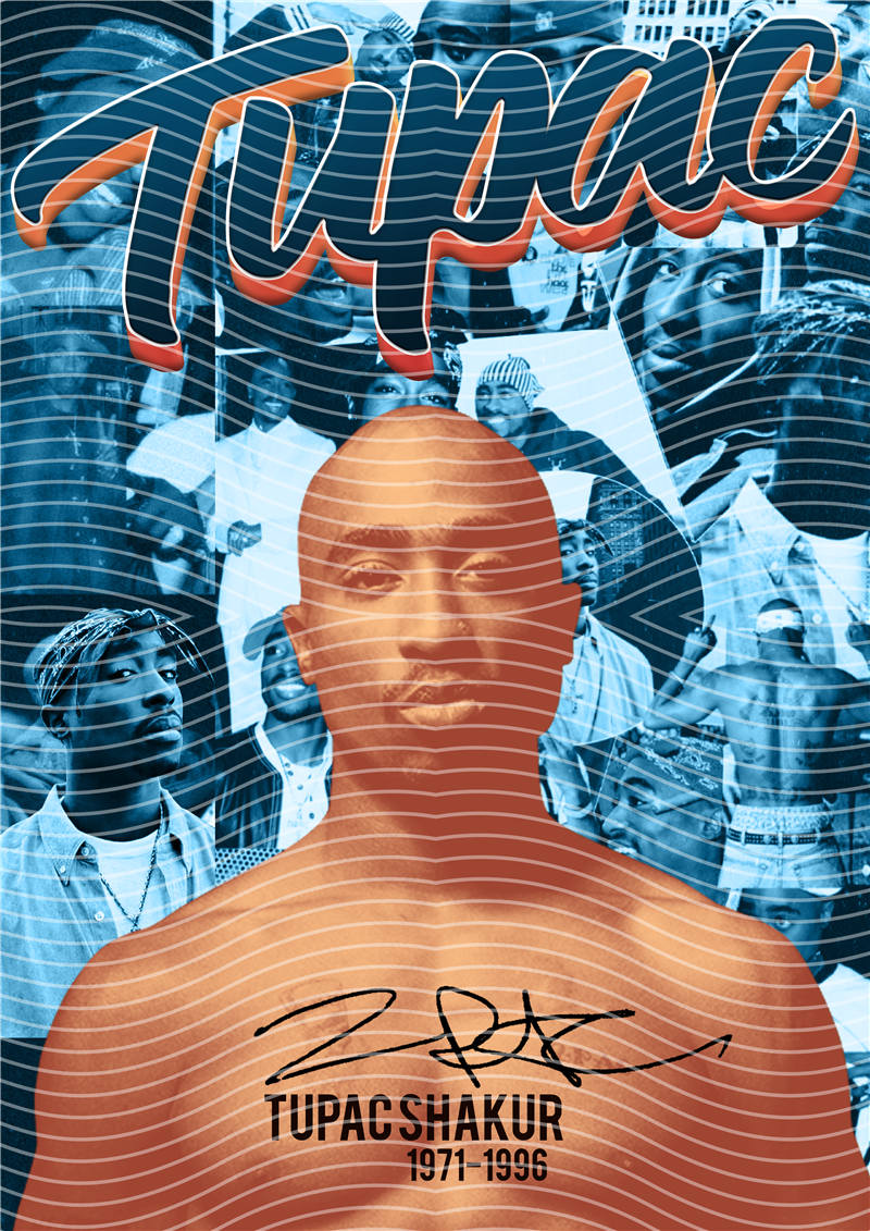 Rapper - Design Catalogue
