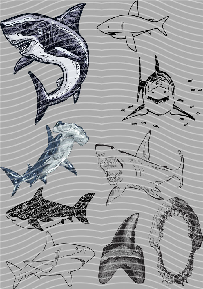 A5 Notebook Wraps - Design Catalogue